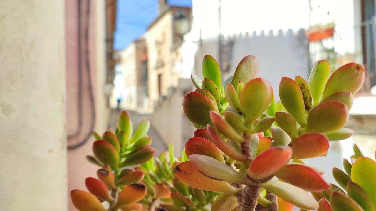 La Casina De Piedra Encanto - Parte Antigua De Caces Buitenkant foto